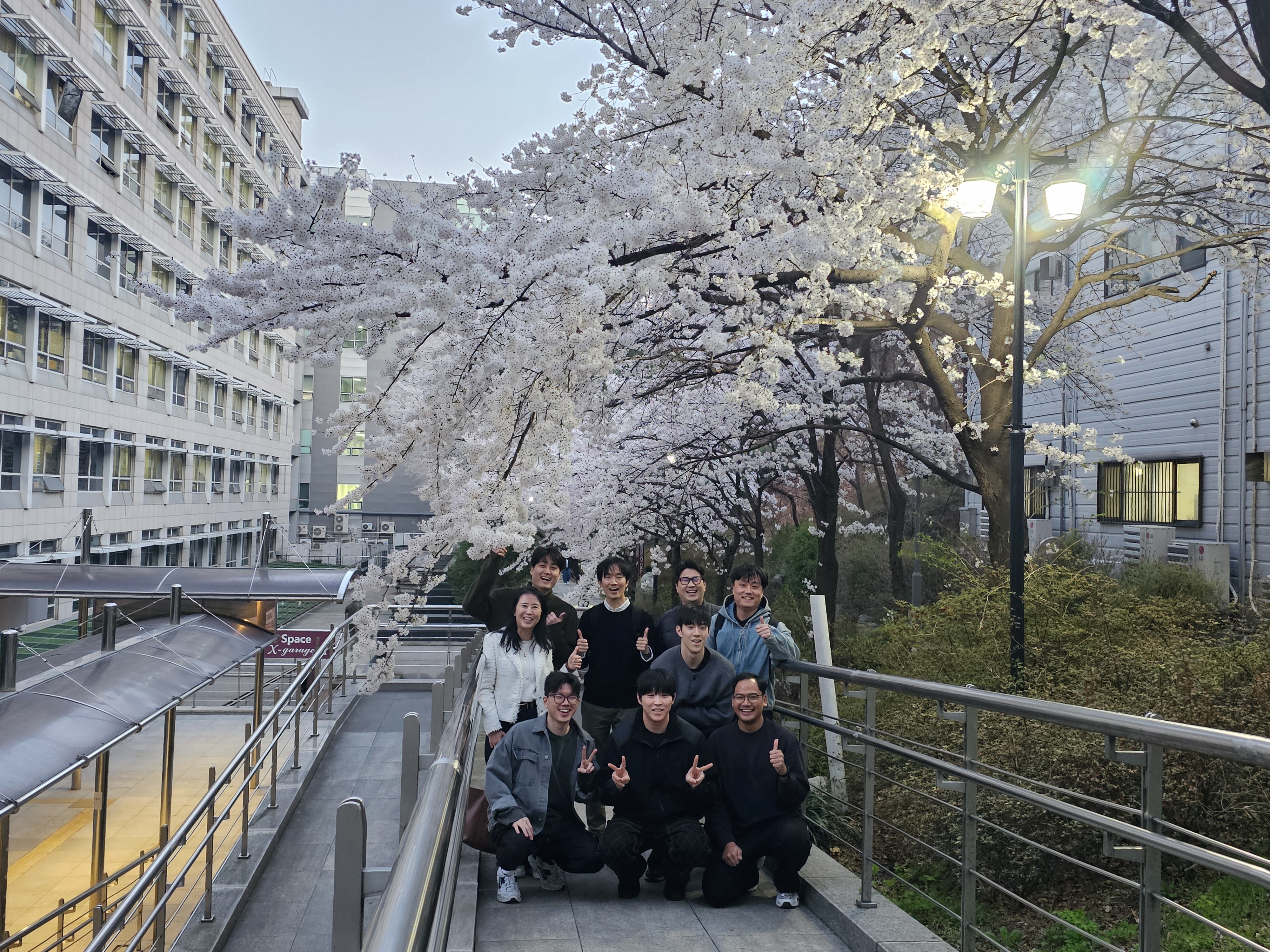 세미나 끝나고 벚꽃 구경 with 최원준 교수님